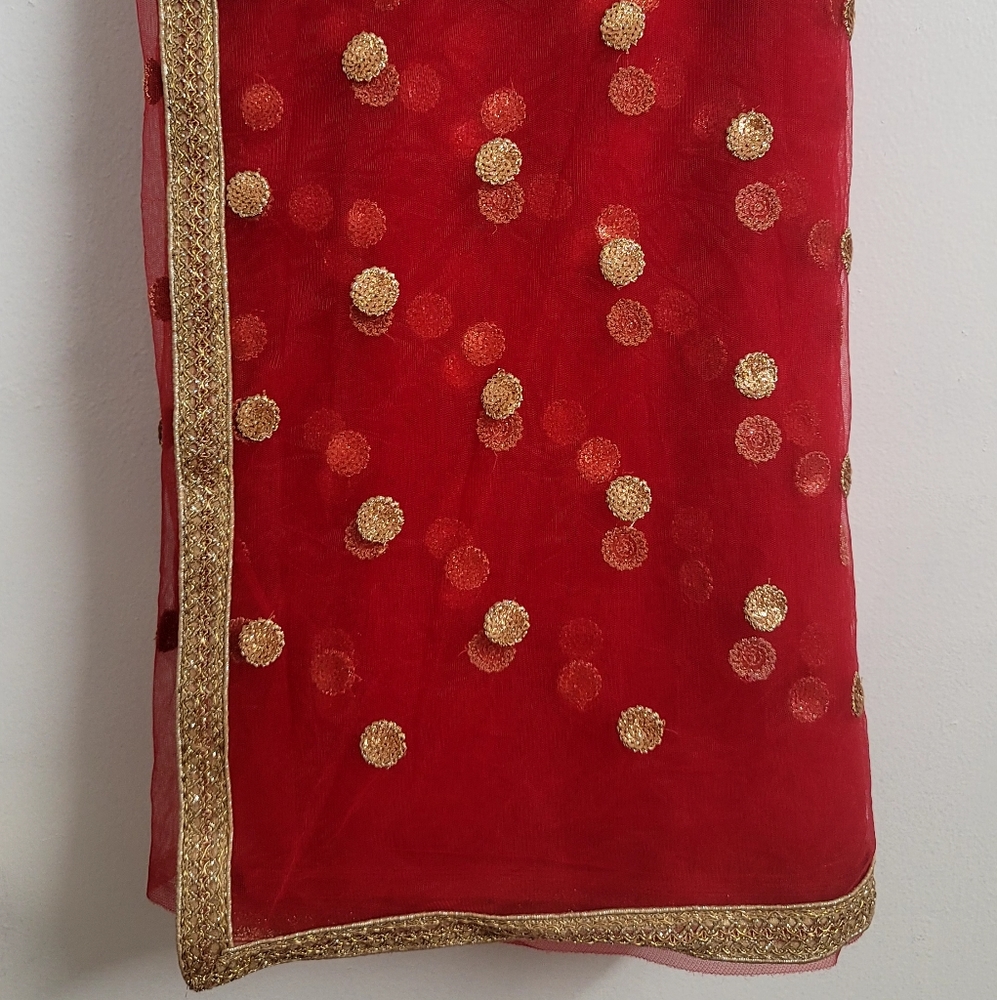 Indian Red Net Sari - image 1